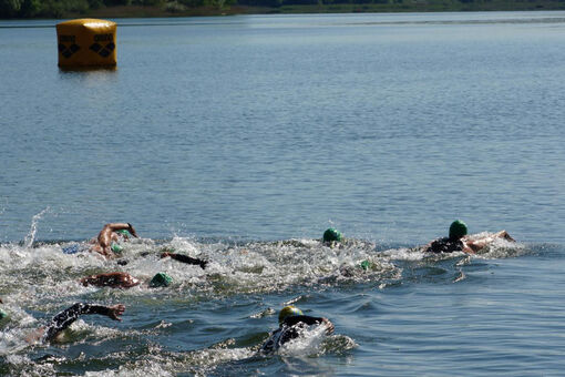 Long-distance swimmers cross Lake Achensee