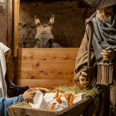 The picture shows a nativity scene in the history museum Sixenhof in Achenkirch with figures of Mary, Joseph and a newborn baby in straw. A donkey can be seen in the background.