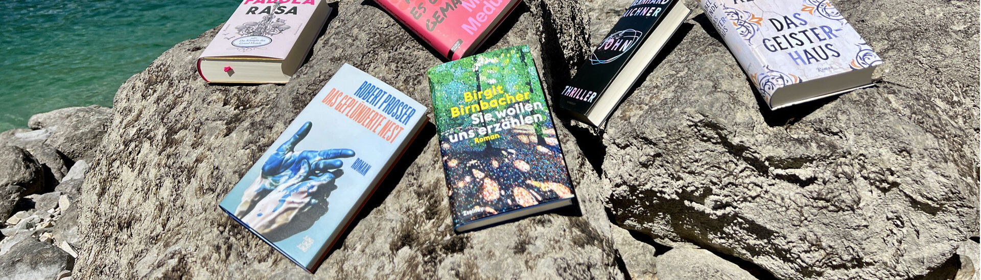 Im Zuge des Literaturfestivals „achensee.literatour“ wurden viele fesselnde Bücher vor einer atemberaubenden Kulisse in Szene gesetzt, begleitet vom malerischen Achensee.