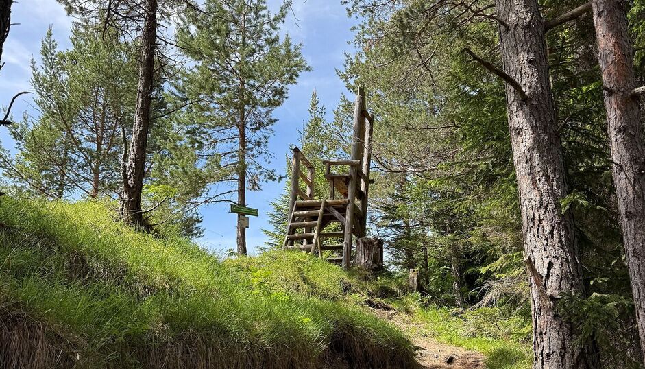 Kaiser-Maximilian-Rast im Wald mit einer erhöhten hölzernen Sitz- und Aussichtsplattform, umgeben von hohen Bäumen und sonnigem Grün.