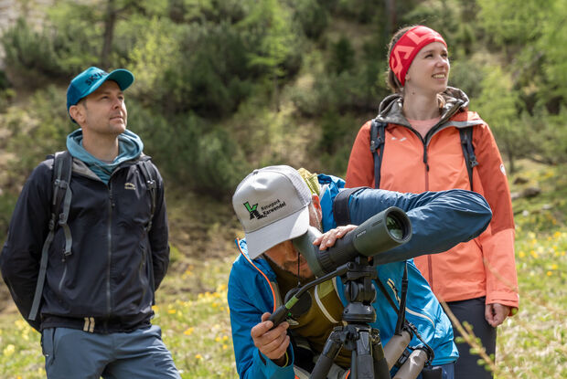 Achensee Wanderprogramm Auf dem Weg zur Moosenalm in Achenkirch erhalten die Teilnehmer der Nature Watch Tour interessante Einblicke in die Pflanzen- und Tierwelt der Region.
