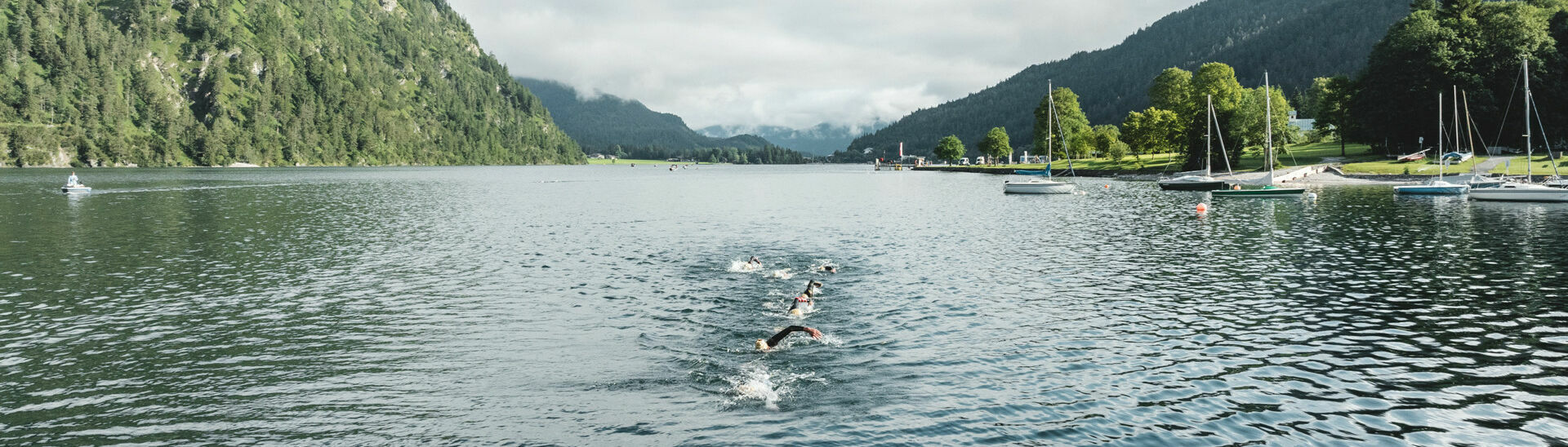 Langstreckenschwimmen am Achensee Langstreckenschwimmer durchqueren den Achensee