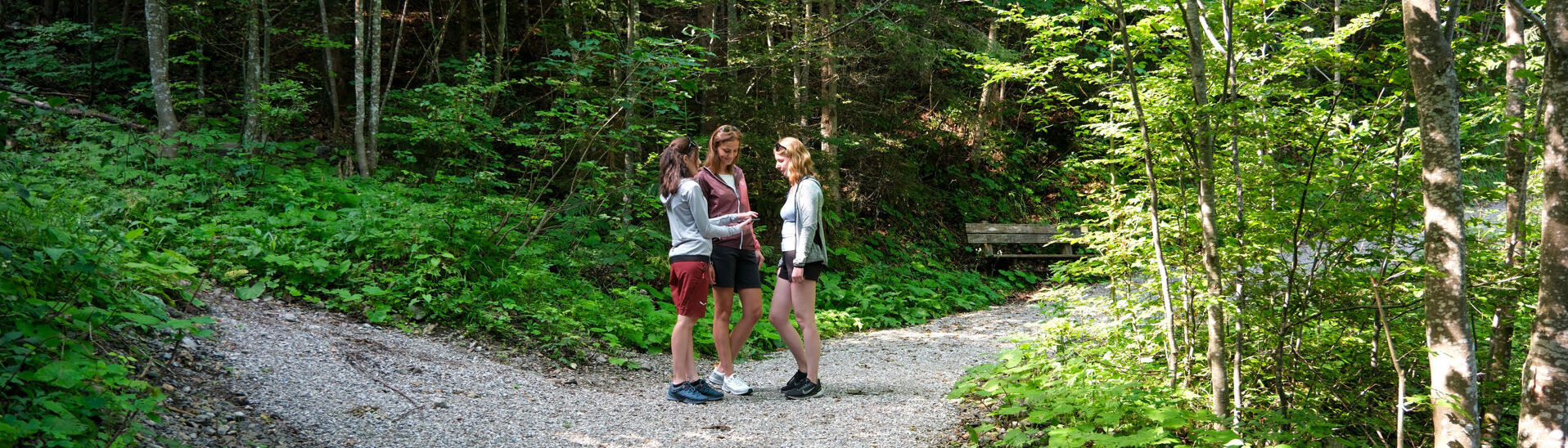 Three people stand at the Besinnung am Achensee (Reflection at Lake Achensee) trail, engaged in conversation. The area is surrounded by lush greenery and trees, suggesting a sunny day. A wooden bench is visible in the background, along the path.
