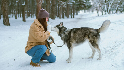 hunde-achensee-winter.jpg