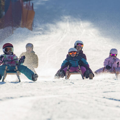 A family races down the toboggan run in Achenkirch in glorious weather. The landscape is covered in snow.
