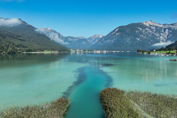 Wankratzbach am Südufer des Achensees Eine ruhige Landschaft mit dem glitzernden, türkisfarbenen Achensee, umgeben von hohen Bergen und Wäldern. Im Vordergrund wächst das Schilf.