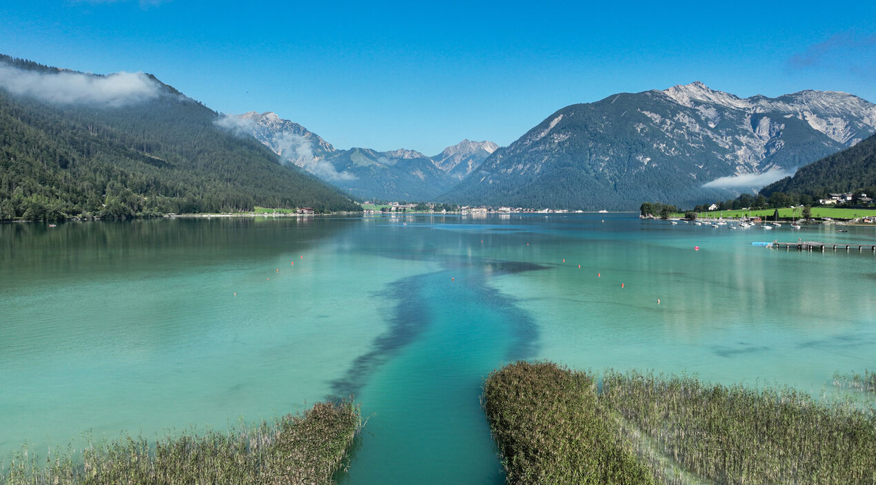 Eine ruhige Landschaft mit dem glitzernden, türkisfarbenen Achensee, umgeben von hohen Bergen und Wäldern. Im Vordergrund wächst das Schilf.