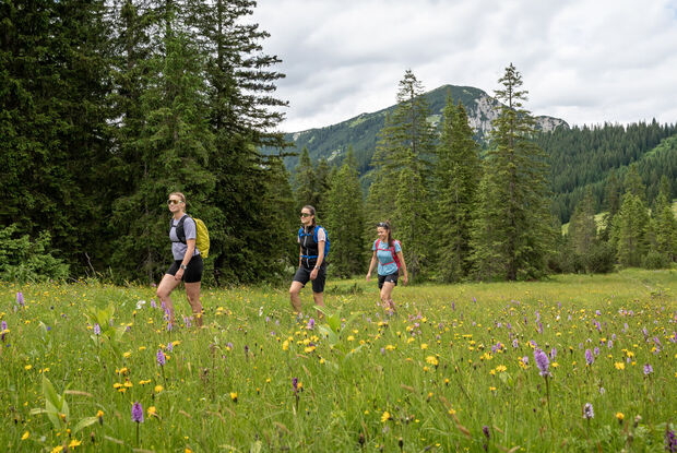 Hike with friends in Steinberg am Rofan A group of girlfriends hike around the Guffert in Steinberg am Rofan through flowering meadows and forests.