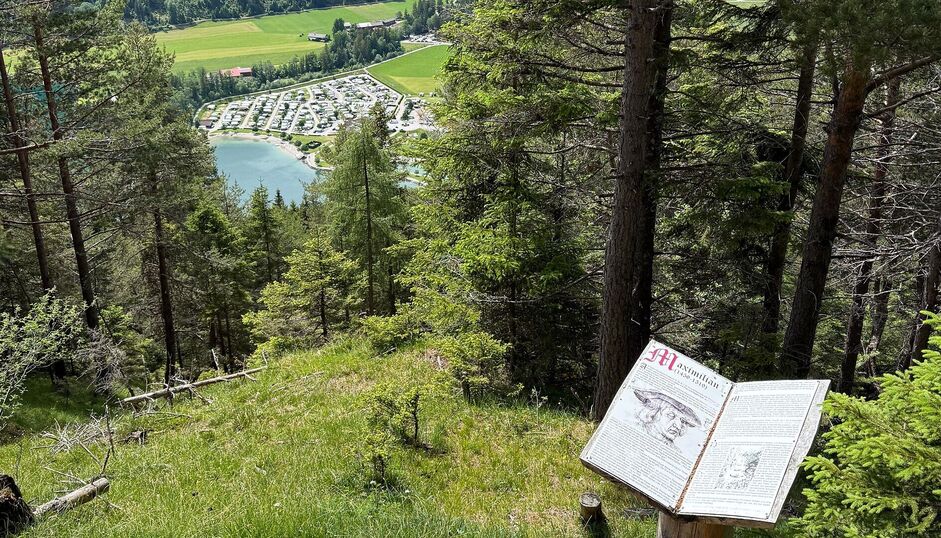 Blick von der Kaiser-Maximilian-Rast am Achensee durch den Wald auf eine Bucht, den Campingplatz und die umliegenden Wiesen. Im Vordergrund steht eine Informationstafel zu Kaiser Maximilian