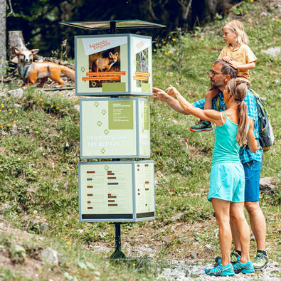 Der Alpentiere Rundwanderweg Auf dem Alpentiere Rundwanderweg mit Start bei der Karwendel-Bergbahn am Zwölferkopf könnt ihr Alpentiere in ihrer natürlichen Umgebung betrachten.