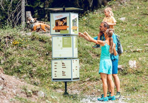 Alpentiere Rundwanderweg Auf dem Alpentiere Rundwanderweg mit Start bei der Karwendel-Bergbahn am Zwölferkopf könnt ihr Alpentiere in ihrer natürlichen Umgebung betrachten.