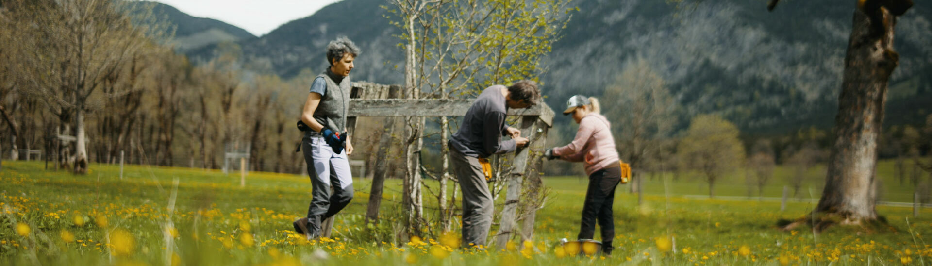 Zaunreparaturen am Ahornboden Ein Mann beteiligt sich an den Zaunreparaturen am Ahornboden im Naturpark Karwendel.