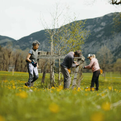 Ein Mann beteiligt sich an den Zaunreparaturen am Ahornboden im Naturpark Karwendel.