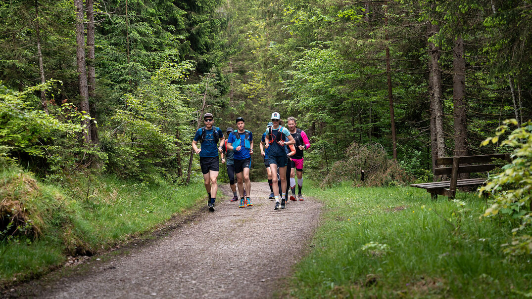 Running at Lake Achensee A group of runners out and about on gravel paths in the natural landscape of Lake Achensee.