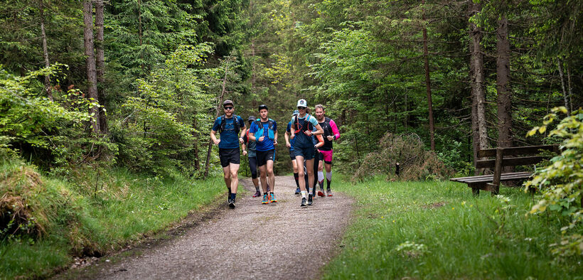 Eine Läufergruppe unterwegs auf Schotterwegen in der Naturlandschaft am Achensee.
