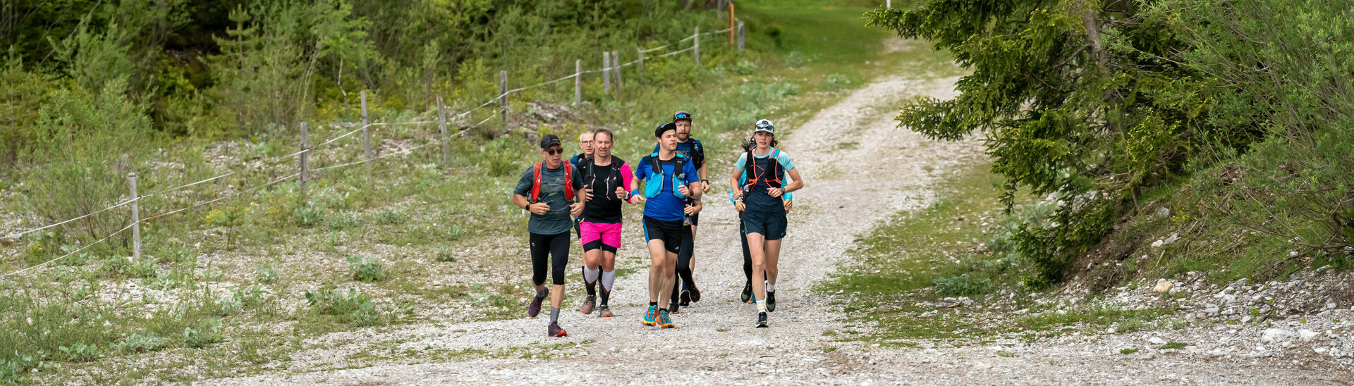 Laufen am Achensee Eine Läufergruppe unterwegs auf Schotterwegen in der Naturlandschaft am Achensee.