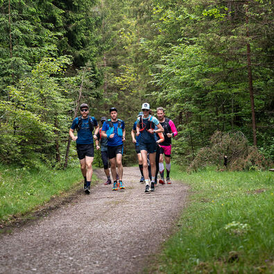 A group of runners out and about on gravel paths in the natural landscape of Lake Achensee.