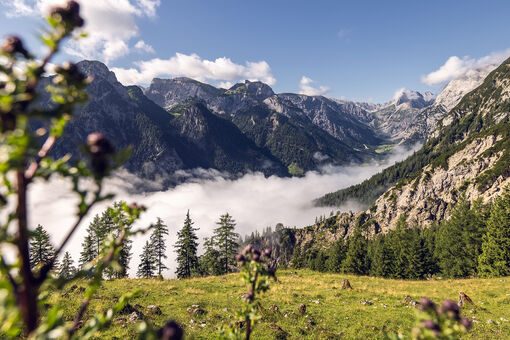 This photo captures the mystical atmosphere of the Nature Park Karwendel, a veil of mist hovering over the valleys.