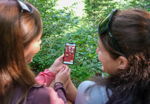 Achensee Natur Erlebnispfad