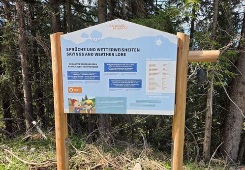 Wetter-Rundwanderweg Eine Informationstafel des Wetter-Rundwanderwegs steht am Waldrand zwischen hohen Nadelbäumen. Die Tafel trägt den Titel „Sprüche und Wetterweisheiten“ und informiert über Bauernregeln und Wetterphänomene. Im oberen Bereich sind Symbole für Sonne und Regen zu sehen.