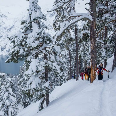 Teilnehmer des Splitboard Festivals unterwegs im Gelände mit Blick auf den Achensee.