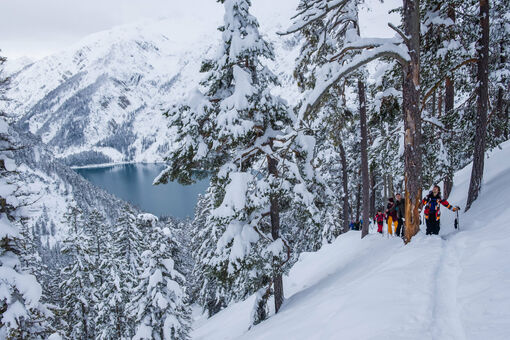 Participants of the Splitboard Festival on the off-piste with a view of Lake Achensee.