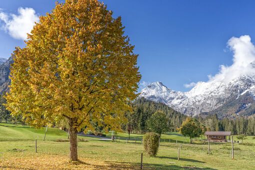 Die Landschaft im Naturpark Karwendel im wunderschönen Herbstkleid. Im Hintergrund das mit Schnee bedeckte Sonnjoch.