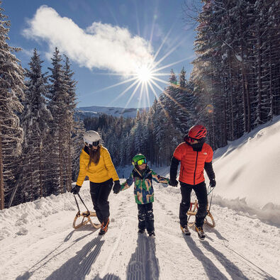 Ein Ausflug auf der Rodelbahn des Zwölferkopfs ist ein herrliches Wintervergnügen für die ganze Familie.