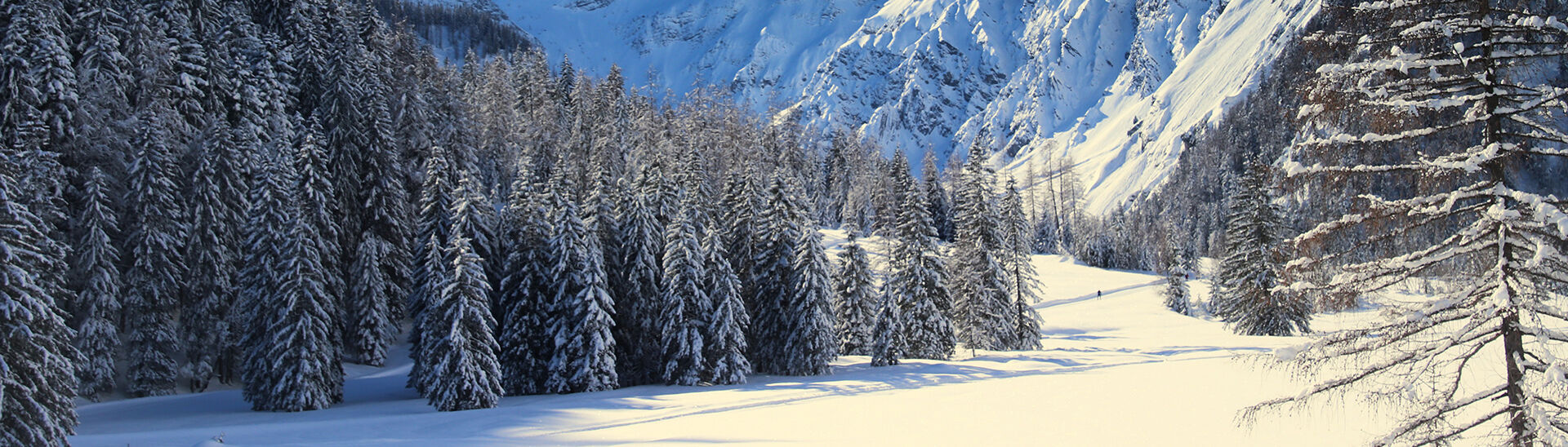 Die Lamsenspitze im verschneiten Naturpark Karwendel in Pertisau am Achensee.
