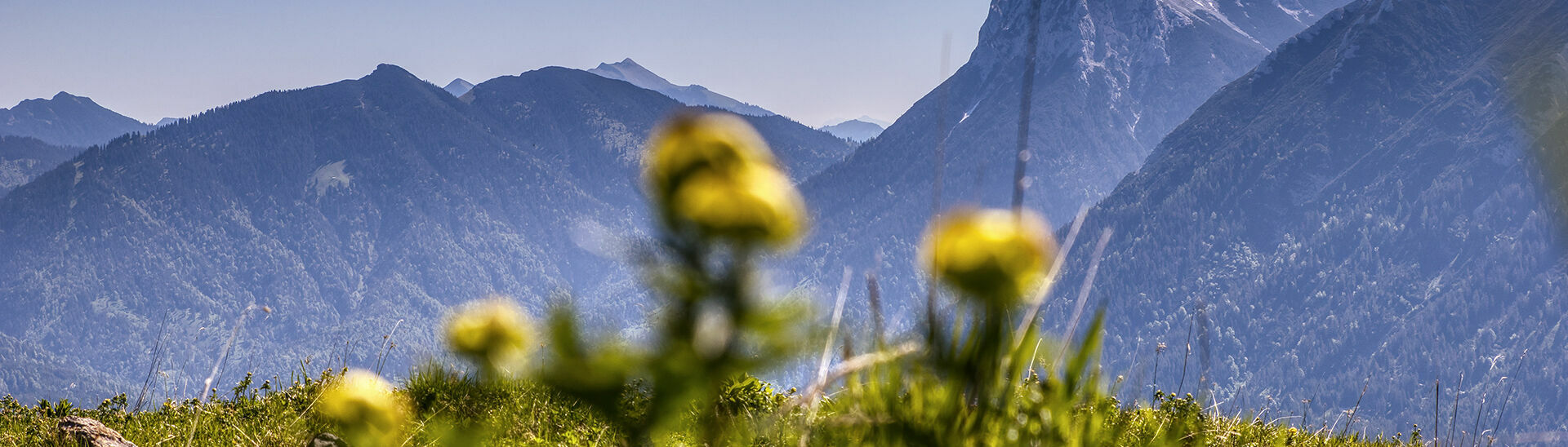 Naturlandschaft am Achensee mit Blick auf den Guffert
