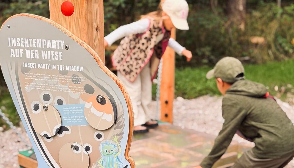 Die Station "Insektenparty auf der Wiese" Zwei Kinder turnen auf der Station "Insektenparty auf der Wiese" des Entdeckerpfad Pertisau herum.