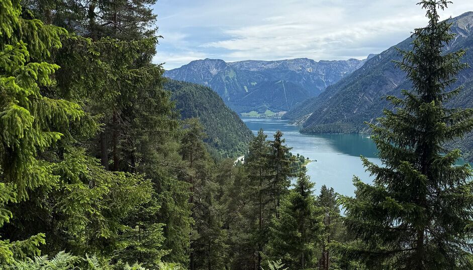 Blick von der Kaiser-Maximilian-Rast durch den Bergwald auf den türkisblauen Achensee, umrahmt von den markanten Gipfeln des Karwendel- und Rofangebirges.