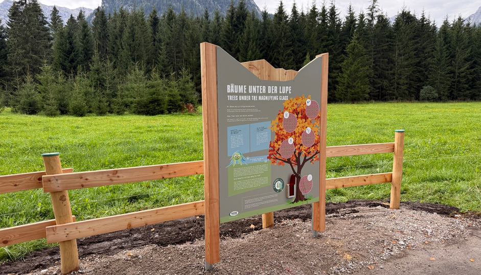 Station „Bäume unter der Lupe” am Entdeckerpfad Pertisau Station „Bäume unter der Lupe“ am Themenweg Entdeckerpfad Pertisau mit Informationstafel aus Holz, umgeben von grünen Wiesen, Wald und Bergen am Achensee.