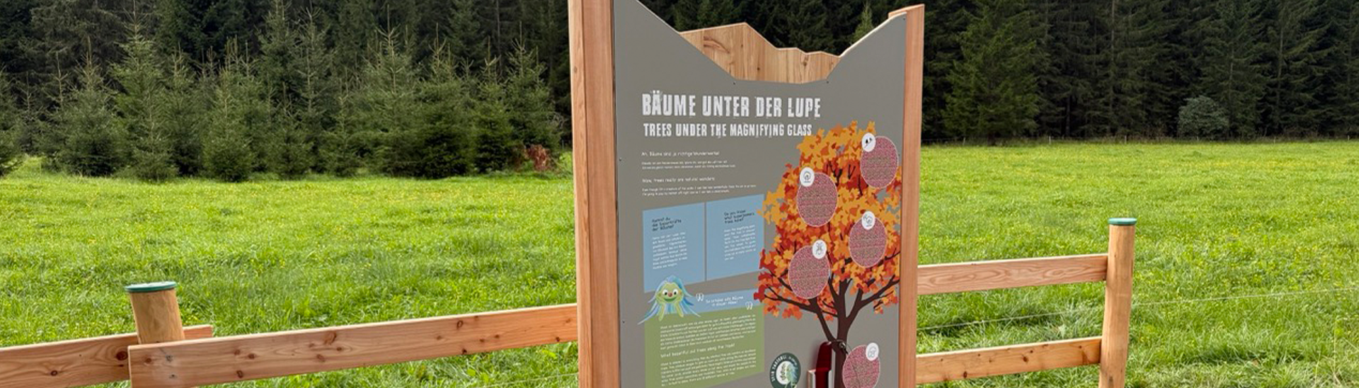 Entdeckerpfad Pertisau für die ganze Familie Station „Bäume unter der Lupe“ am Themenweg Entdeckerpfad Pertisau mit Informationstafel aus Holz, umgeben von grünen Wiesen, Wald und Bergen am Achensee.