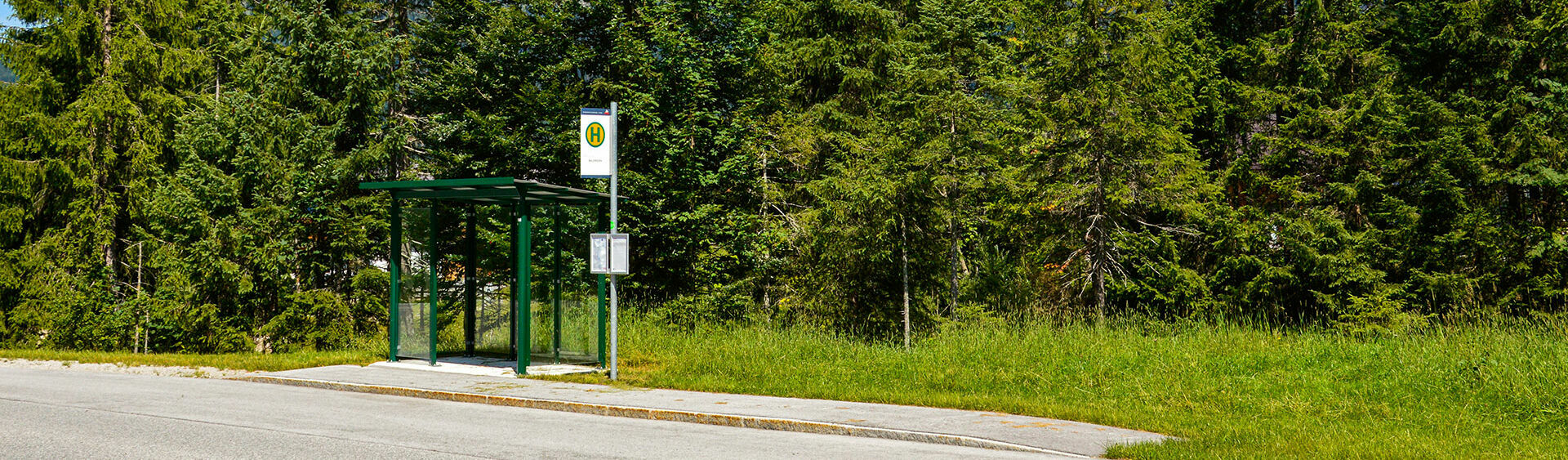 The AchenseeCard allows free use of the public buses which run at regular intervals between the villages of Achenkirch, Maurach, Pertisau, Steinberg, Wiesing and Jenbach. 