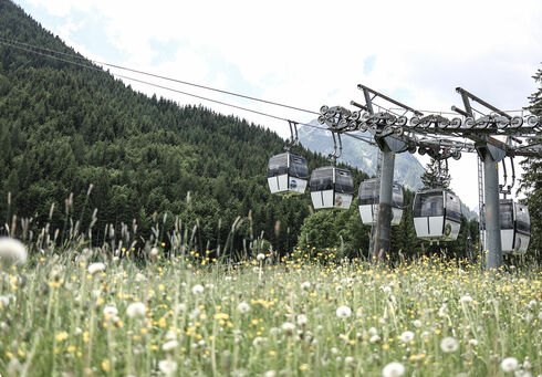 Karwendel-Bergbahn Die Karwendel Bergbahn über einem Blumenfeld im Sommer kurz nachdem sie die Bodenstation verlassen hat.