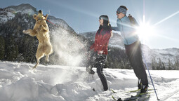 dog-friendly cross-country skiing trail Pertisau