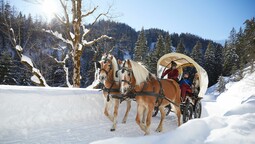 horse-drawn sleigh ride in the valleys of Achenkirch