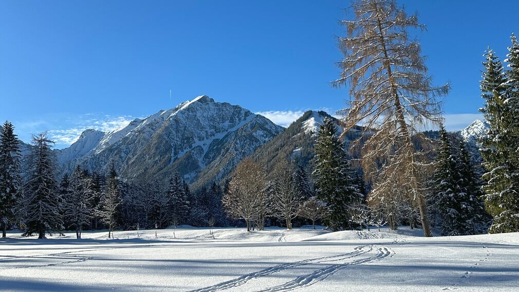 am Beginn des Winterwanderwegs "Kleine Tristenau Runde" in Pertisau