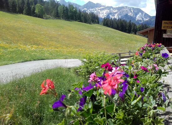 Ferienwohnung Enterhof