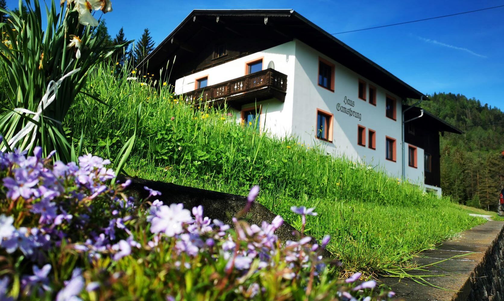 Haus Gamssprung