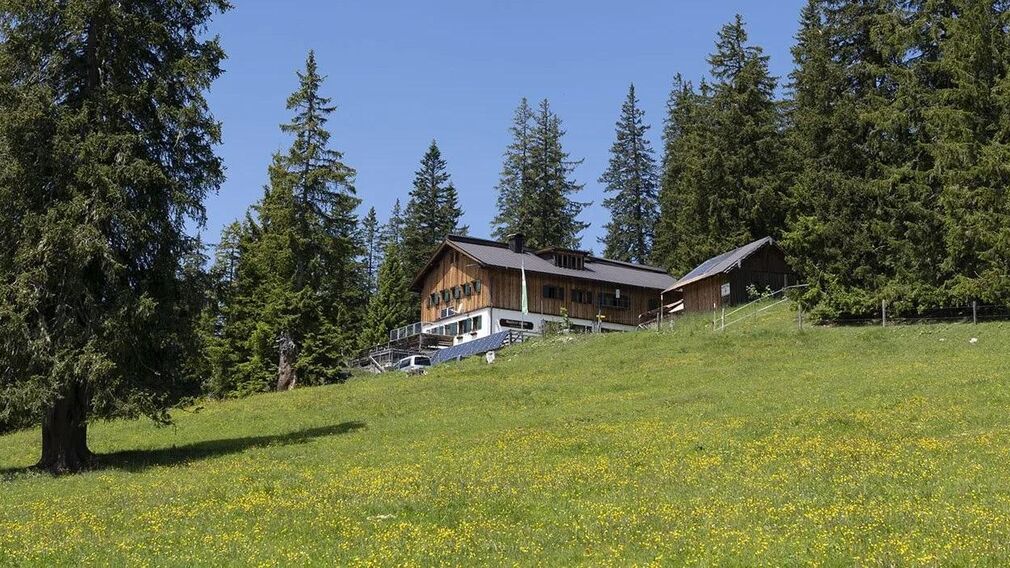 Gufferthütte Blumenwiese