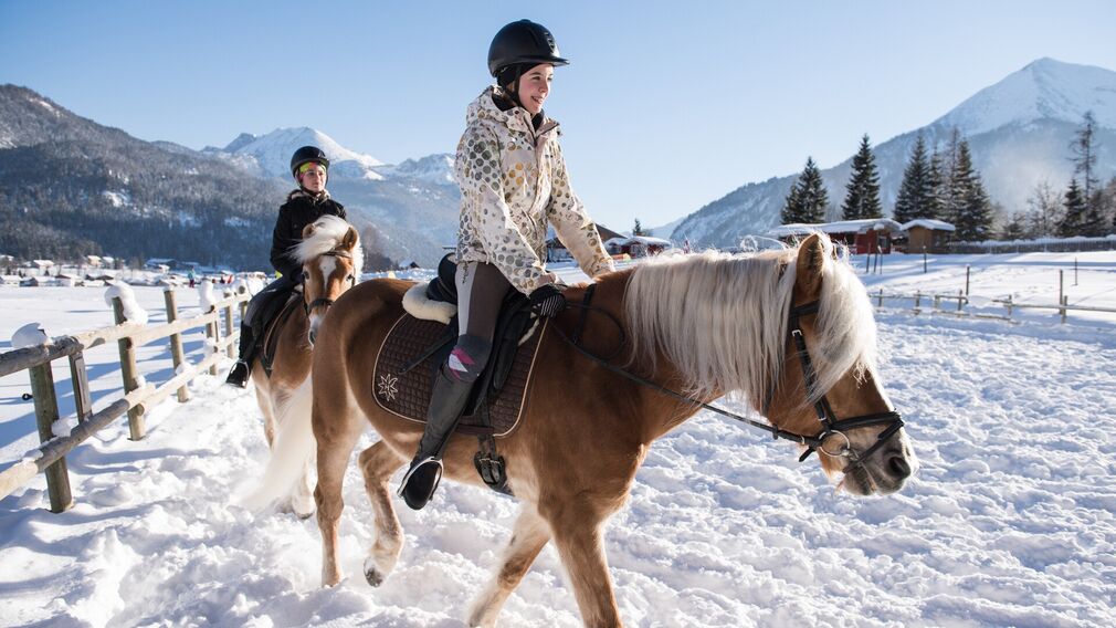 The stables are located behind the Seealm restaurant.