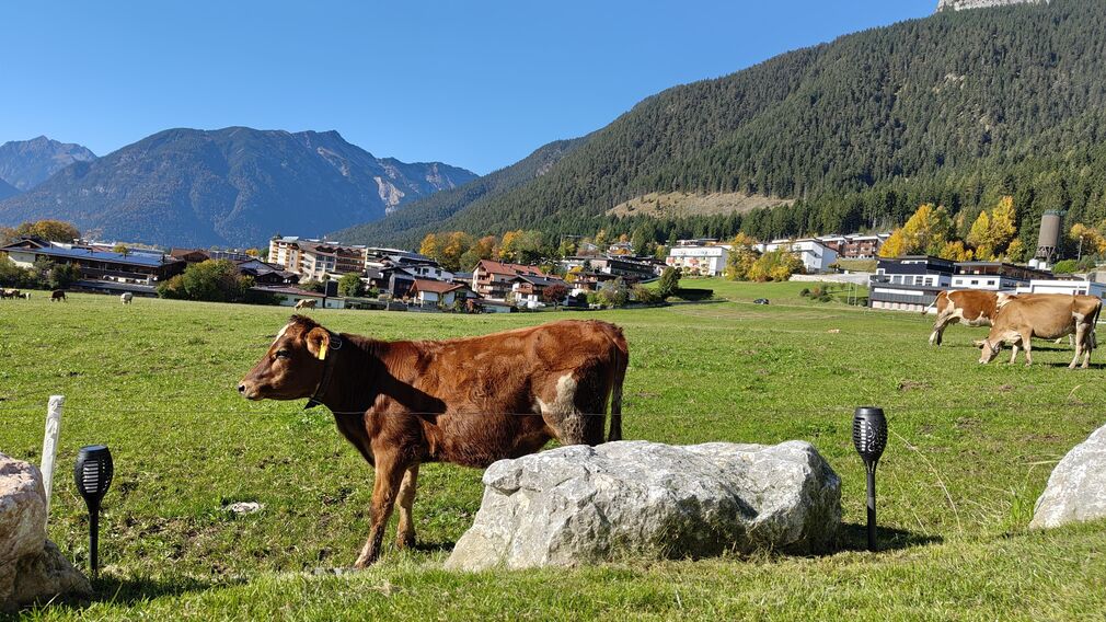 dji_fly_20251013_113938_437_1760350377318_photo_op