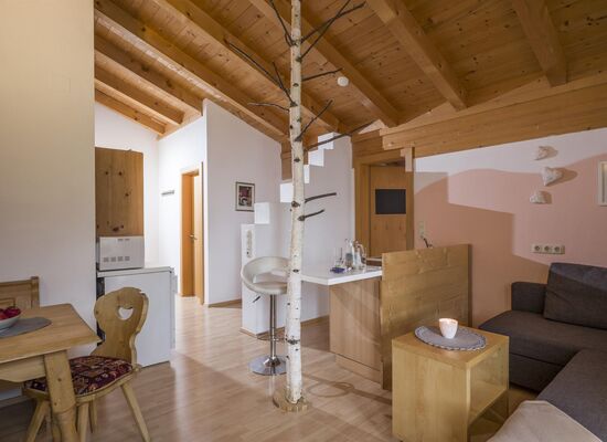 Appartement/Fewo, Dusche, WC, Balkon Appartement/Fewo, Dusche, WC, Balkon