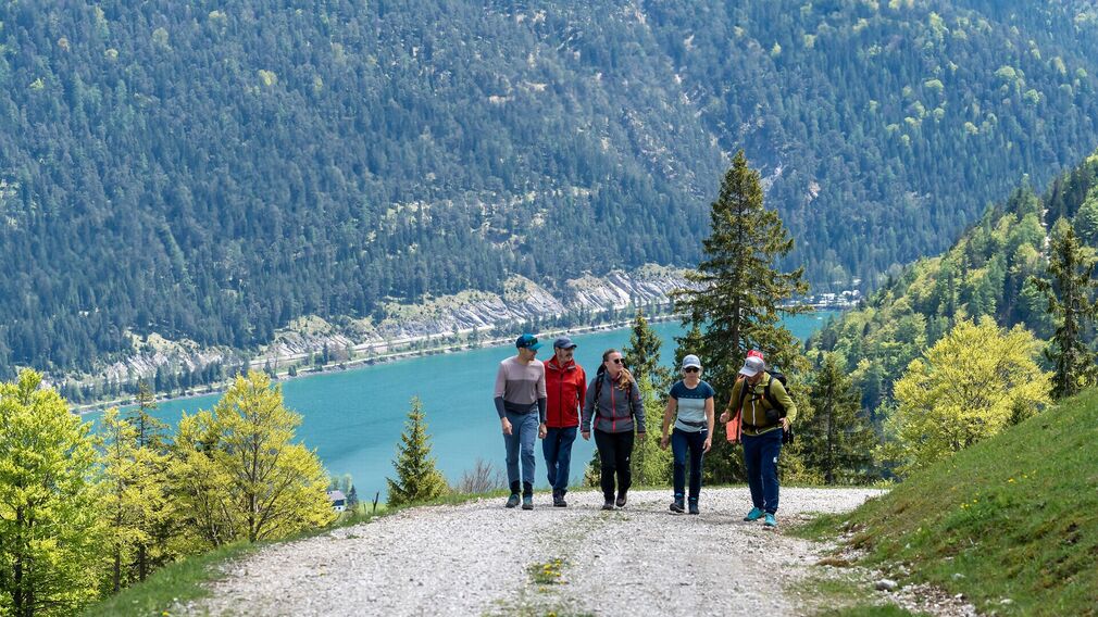 On the way to the Moosenalm in Achenkirch, participants on the Nature Watch Tour gain fascinating insights into the region's diverse flora and fauna.
