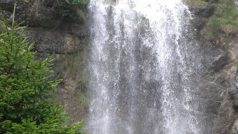 Haus Bergfreund - Sommer