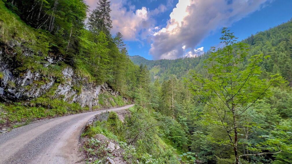 two mountain bikers - on the way on the Rotwandalm towards Bächental and Sylvensteinstausee