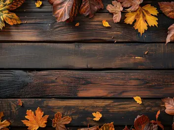Herbst Konzert