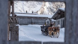 horse-drawn sleigh ride into the Falzthurntal valley